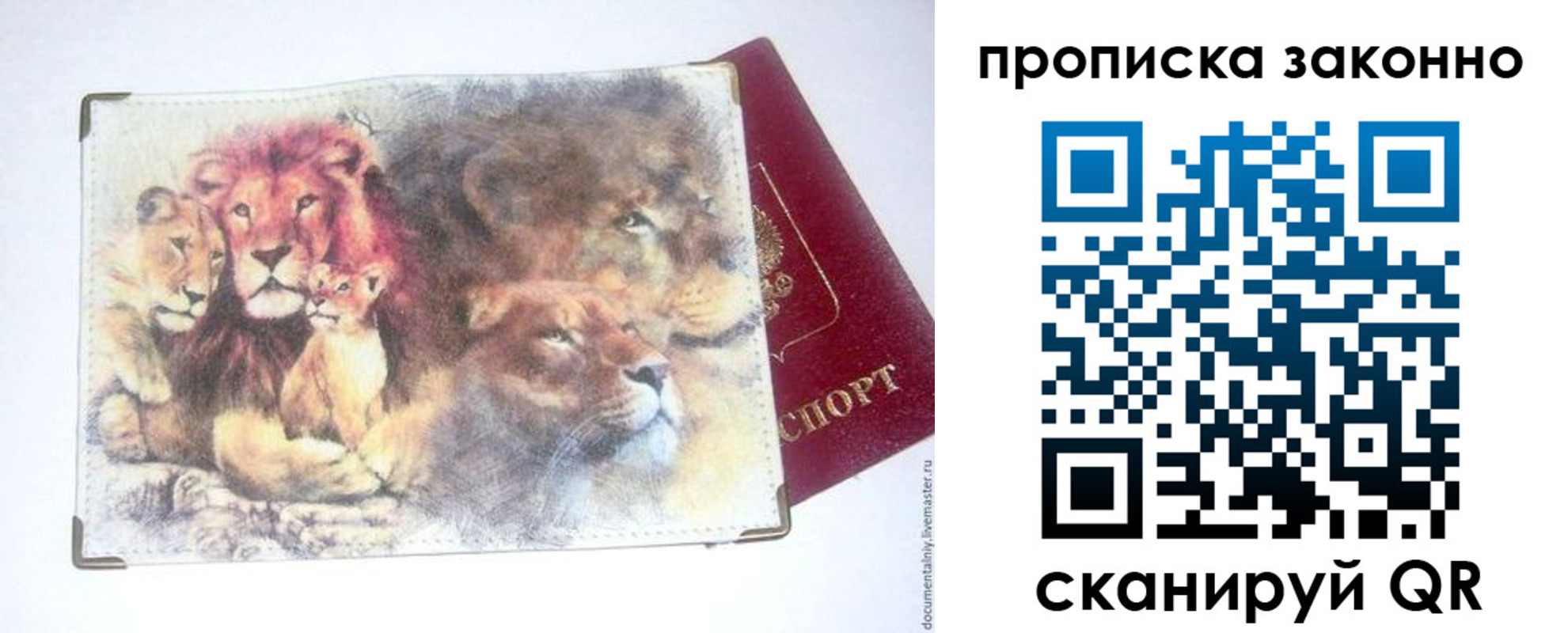 прописка от собственника в Емве